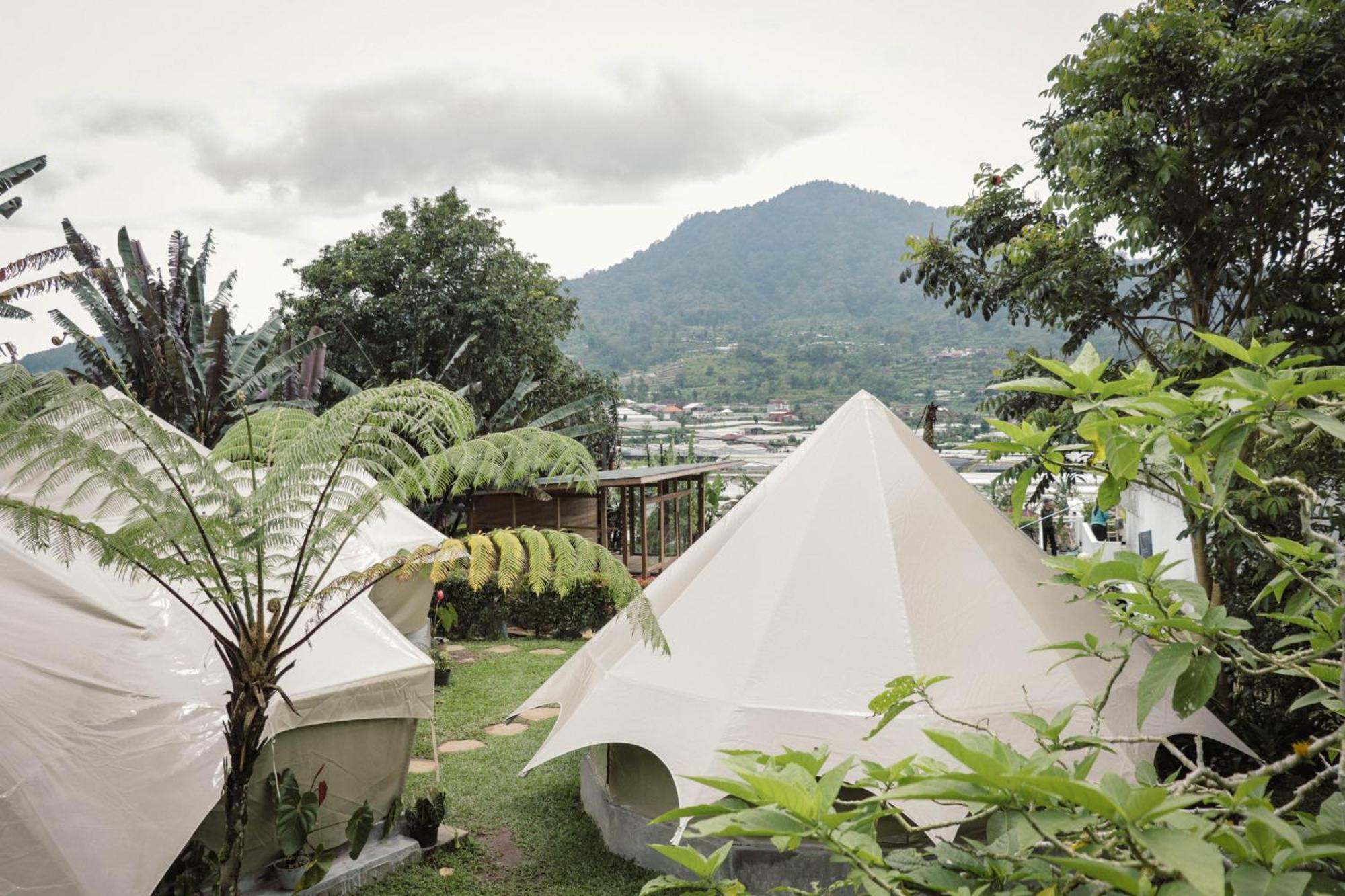 Alamu Eco Lodge Бедугул Екстериор снимка
