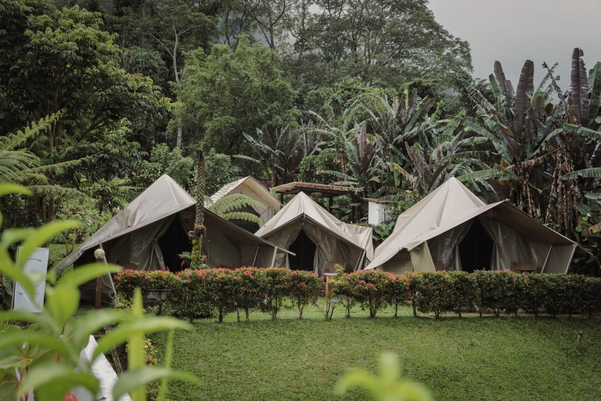 Alamu Eco Lodge Бедугул Екстериор снимка