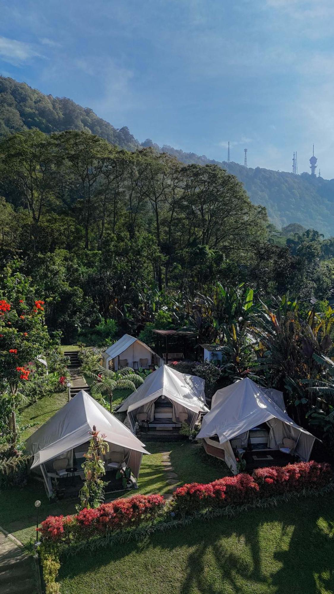Alamu Eco Lodge Бедугул Екстериор снимка
