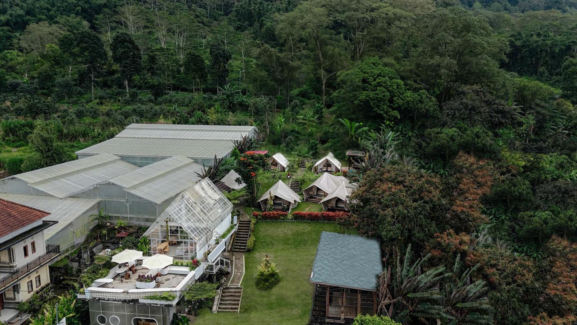 Alamu Eco Lodge Бедугул Екстериор снимка