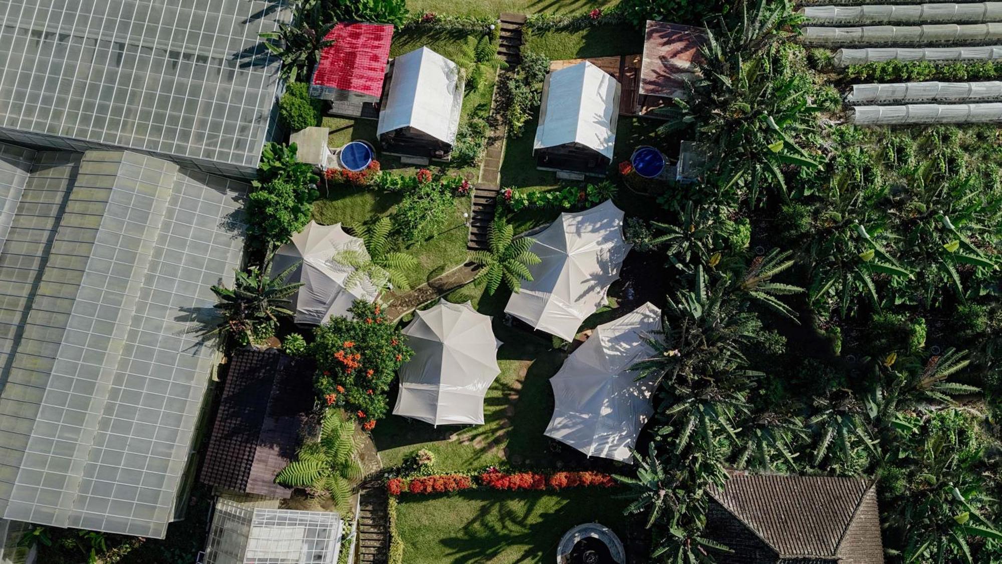 Alamu Eco Lodge Бедугул Екстериор снимка