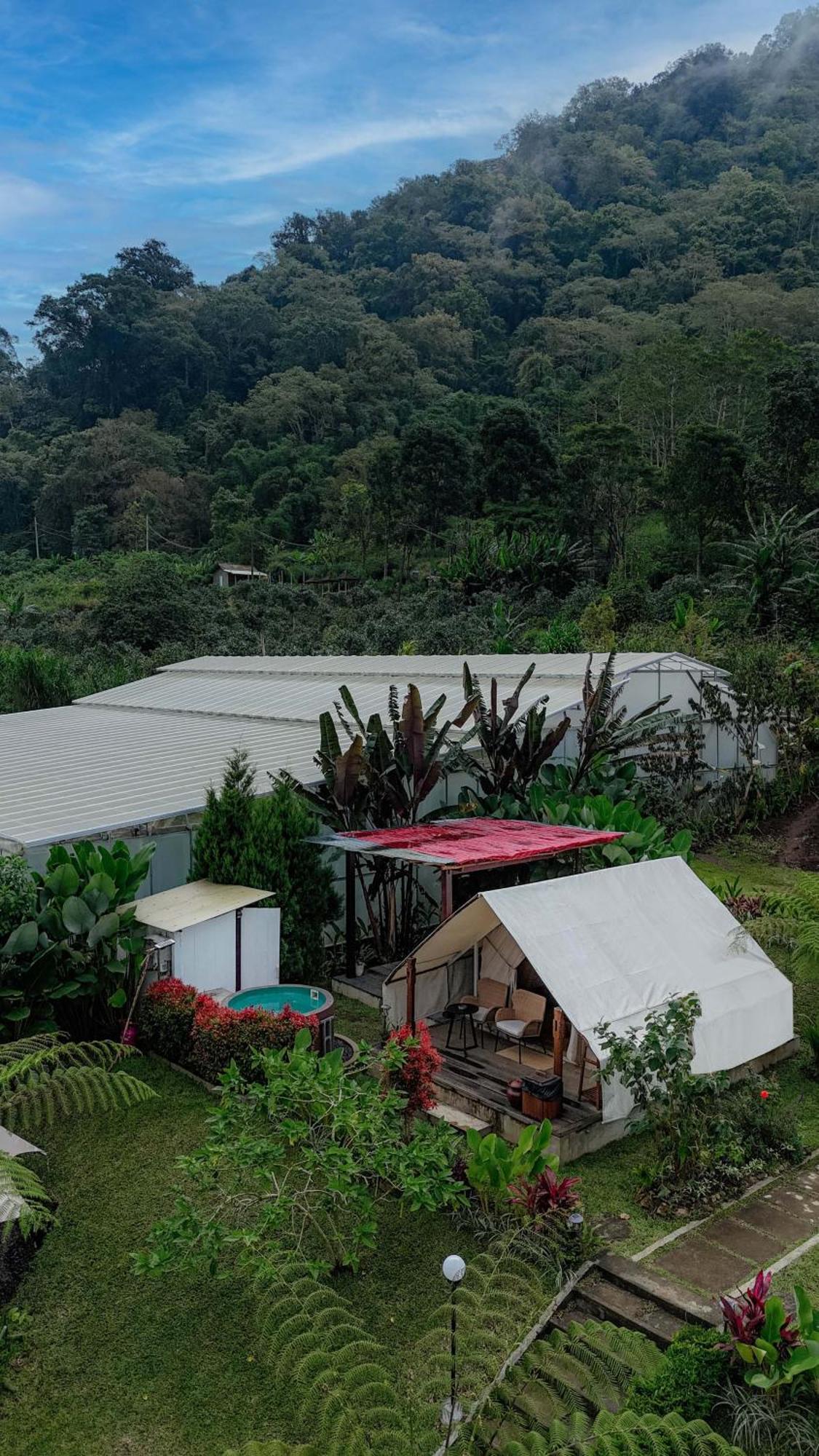 Alamu Eco Lodge Бедугул Екстериор снимка