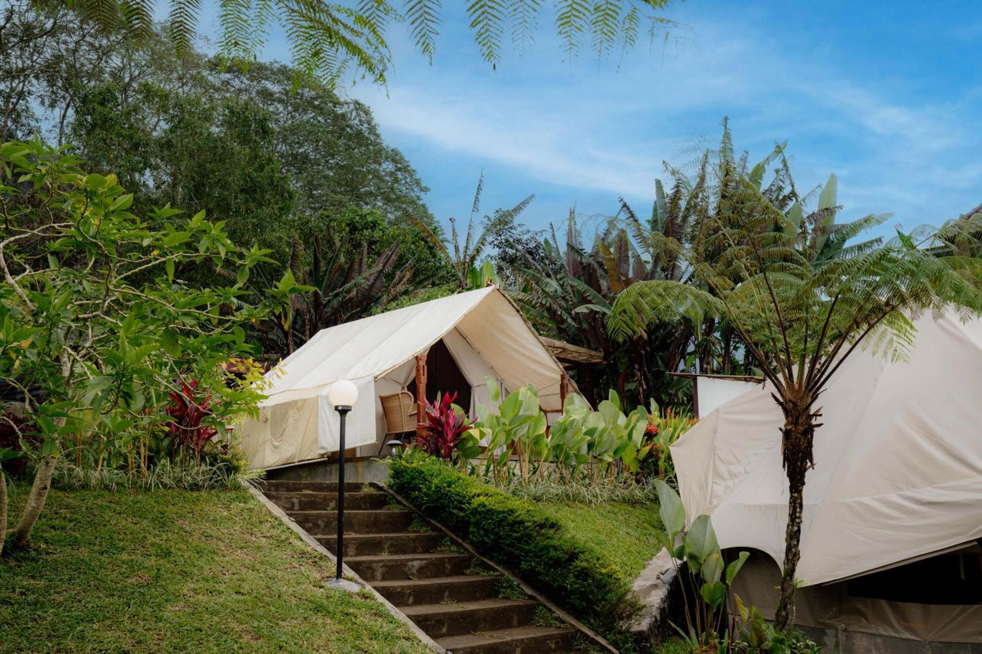 Alamu Eco Lodge Бедугул Екстериор снимка